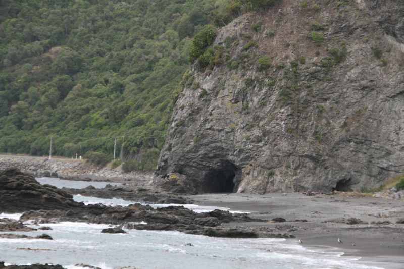 Nieuw-Zeeland 2011 - 1188